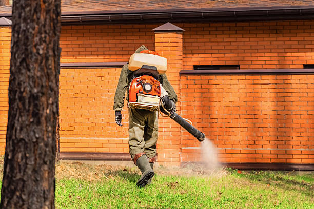 Trusted Termite Control service in Plum, PA - Nex Pest Control